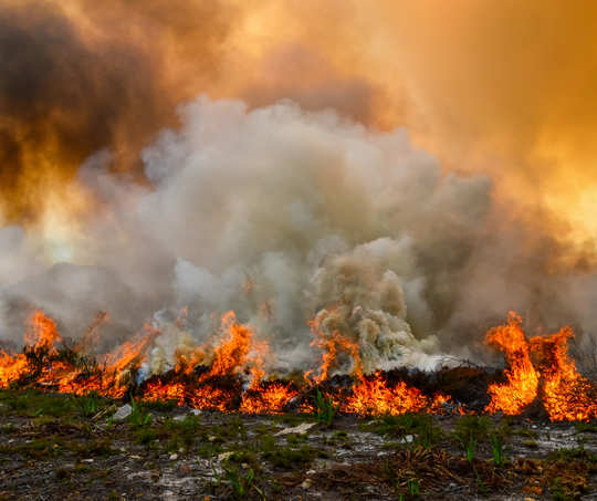 Wildfires and COVID-19 in 2020