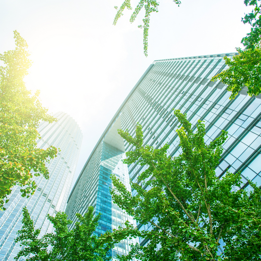 How to Help Your Company Go Green