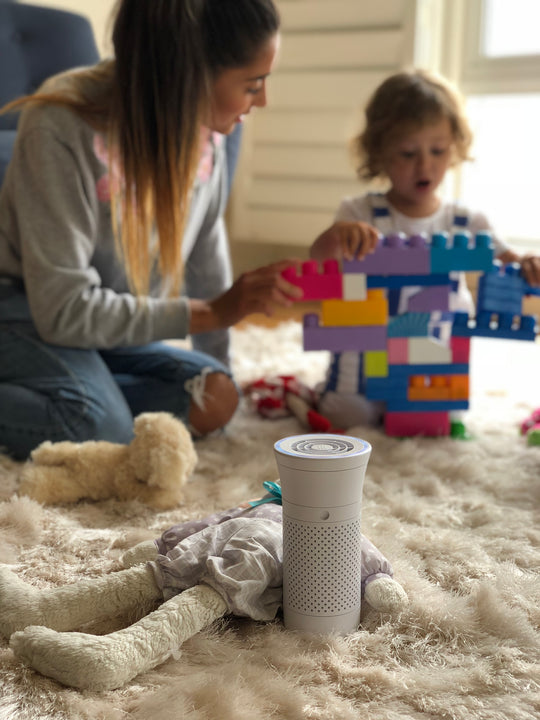 Mother's Day Promo - 2 Free Filters when you spend $129 - Best Mother's Day Gifts 2019 - Wynd Air Purifier