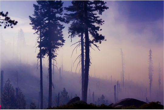 5 Strategies for Breathing Safely During a Wildfire