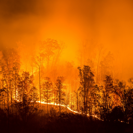 This Year's Wildfire Season: How to Stay Safe