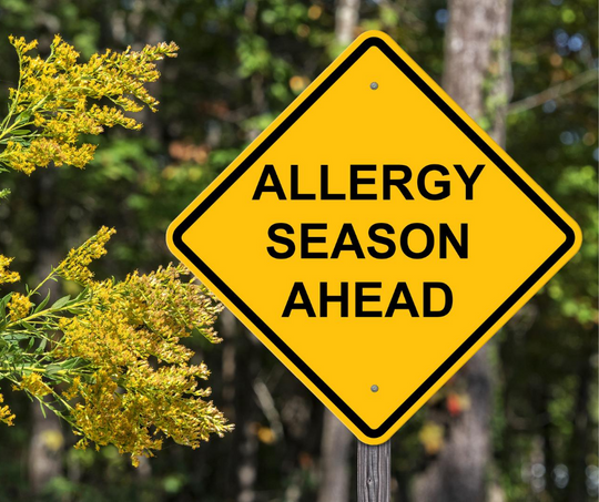 Fall Allergies or COVID-19: How to Tell the Difference?