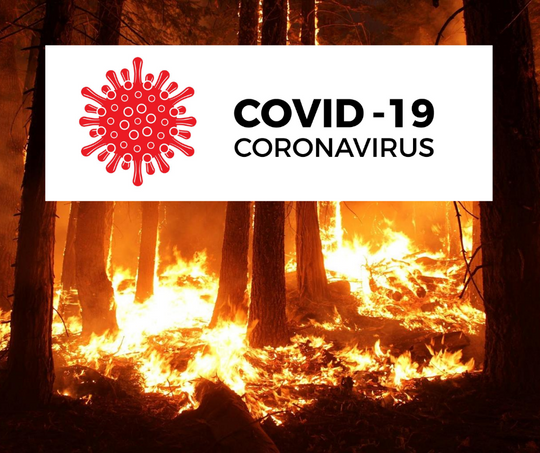 Wildfires and COVID-19