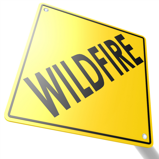 Wildfire Preparedness: Before, During, and After