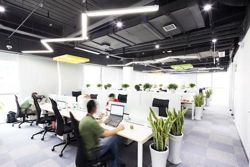 Did you know good lighting and sound can improve productivity in workplace?
