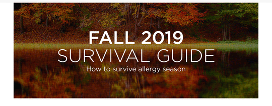 Facts About Fall Allergens [INFOGRAPHIC]